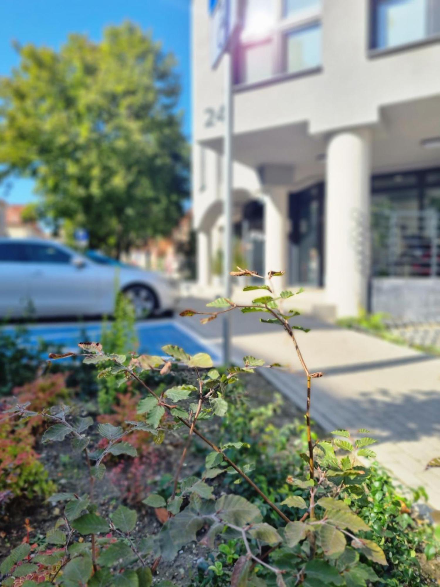 Aparthotel Bukowa Tychy Exteriér fotografie